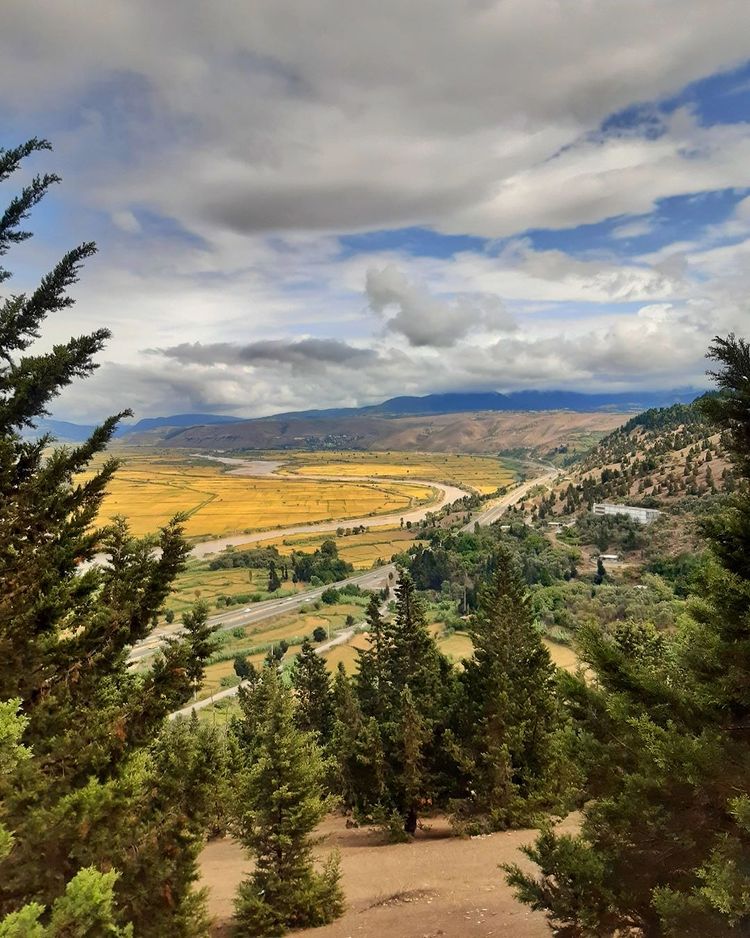 روستای نصفی شهرستان رودبار، نصفی گیلان، نصفی رستم آباد، آلش دشت، تپه ی مارلیک، جام مارلیک، مارلیک رستم آباد